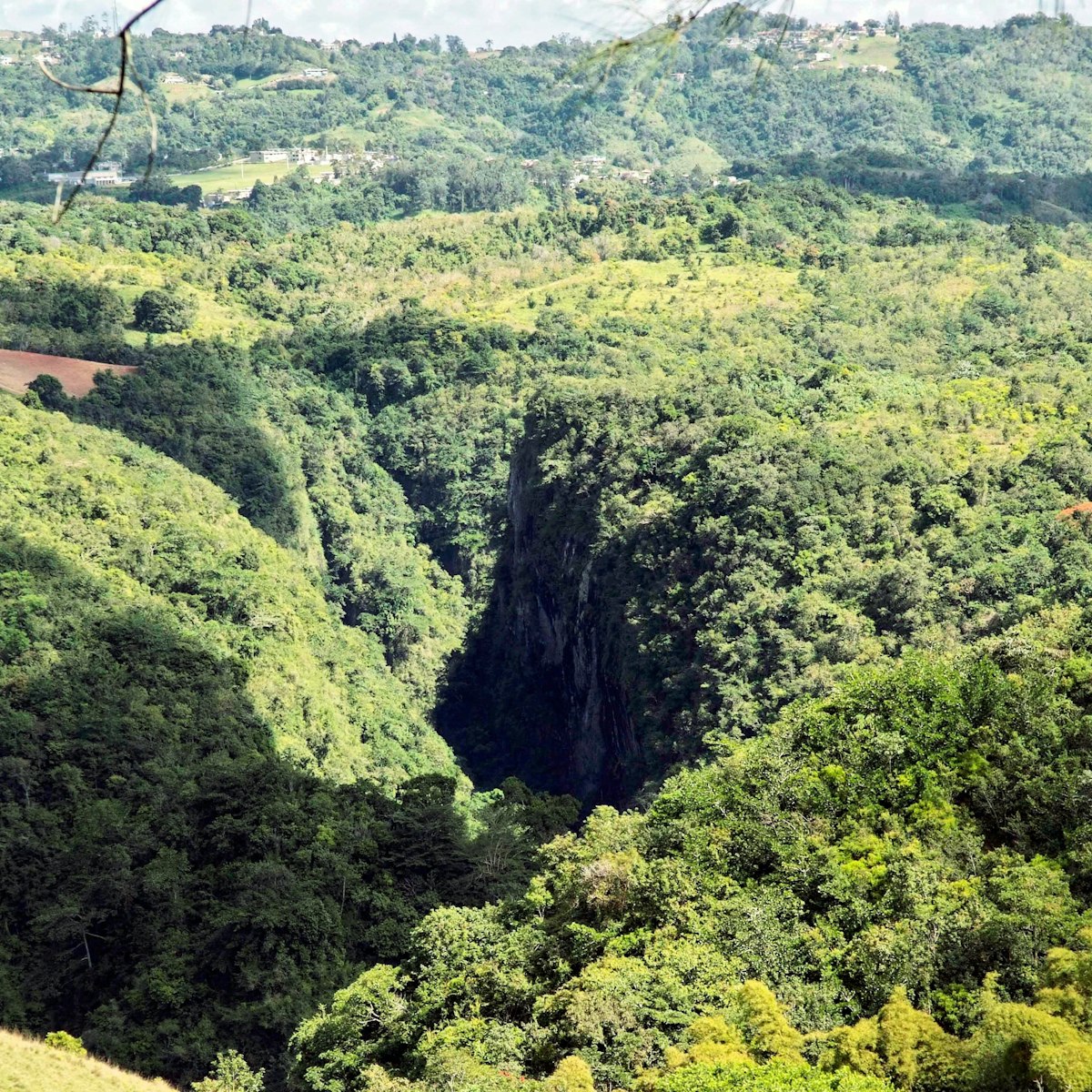CW2P43 PUERTO RICO - CORDILLERA CENTRAL SAN CRISTOBAL CANYON
Cañón de San Cristóbal